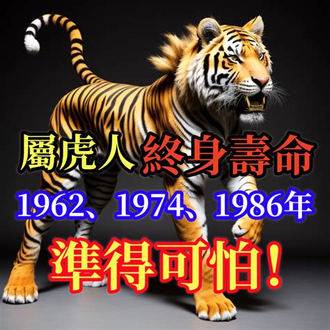 1986屬虎|1986年屬虎是什麼命？最全虎命命相批註！